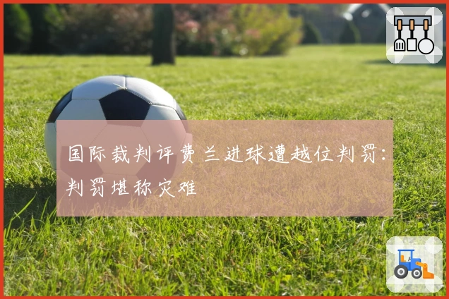 国际裁判评费兰进球遭越位判罚：判罚堪称灾难