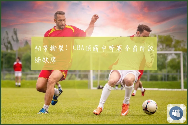 韧带撕裂！CBA顶薪中锋赛季首阶段憾缺席