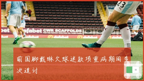 前国脚戴琳欠球迷款项重病期间多次追讨